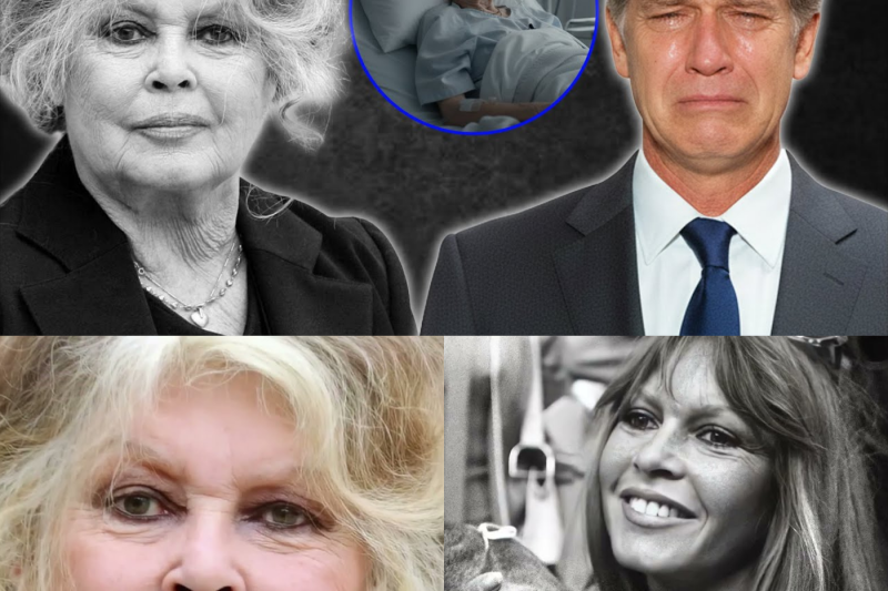 Brigitte Bardot : La confession déchirante de son mari Bernard d’Ormale