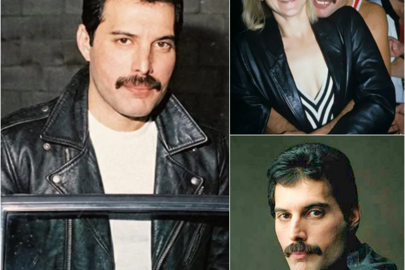 I Segreti di Garden Lodge: Cosa Nascondeva Davvero Freddie Mercury Dietro le Mura del Suo Santuario Londinese
