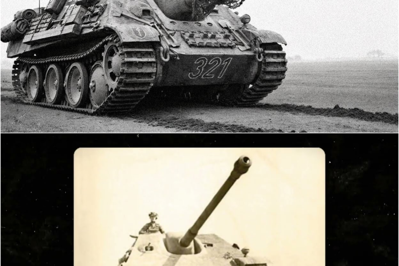 IL MIGLIOR CARRO DELLA WEHRMACHT: La Macchina PERFETTA che non è riuscita a VINCERE la Guerra
