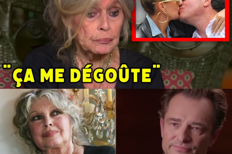 « Ça me dégoûte ! » : Quand Brigitte Bardot brisait le silence pour atomiser Laeticia Hallyday et défendre David et Laura