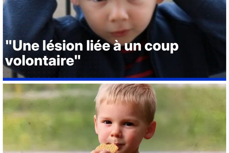 Révélations Chocs dans l’Affaire Émile : L’Ombre d’un Acte Volontaire et d’une Mise en Scène Macabre Plane sur le Haut-Vernet